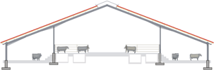 Przekrój obory wolnostanowiskowej na głębokiej ściółce